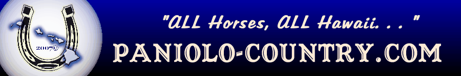 find local businesses, events and free classifieds online